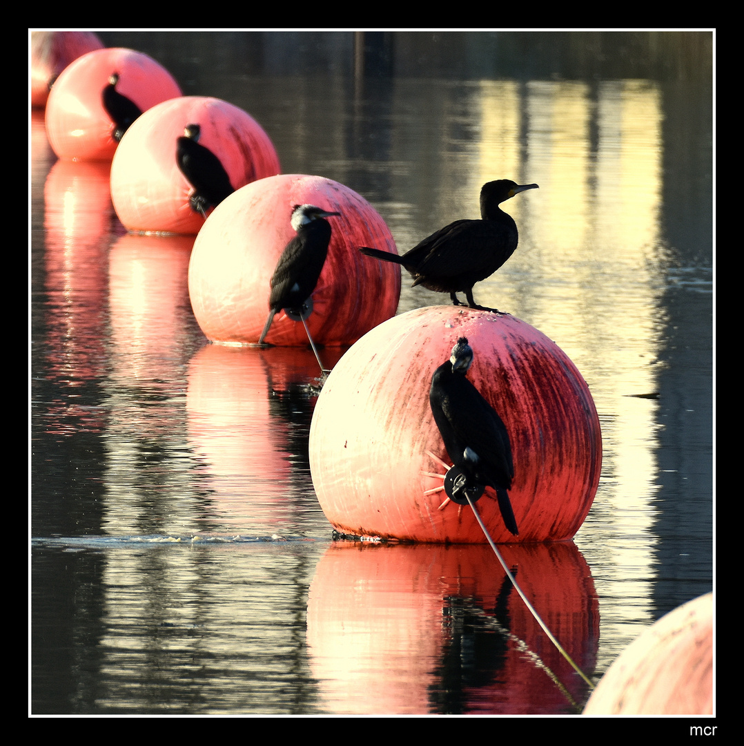 Dienstag ist Spiegeltag 04/`19