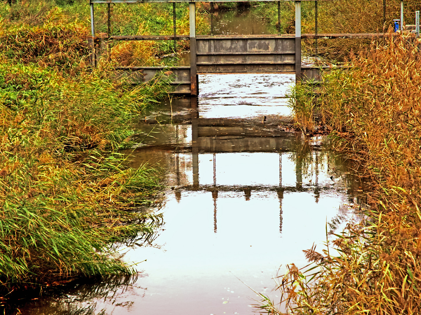 Dienstag ist Spiegeltag  05.11.2019