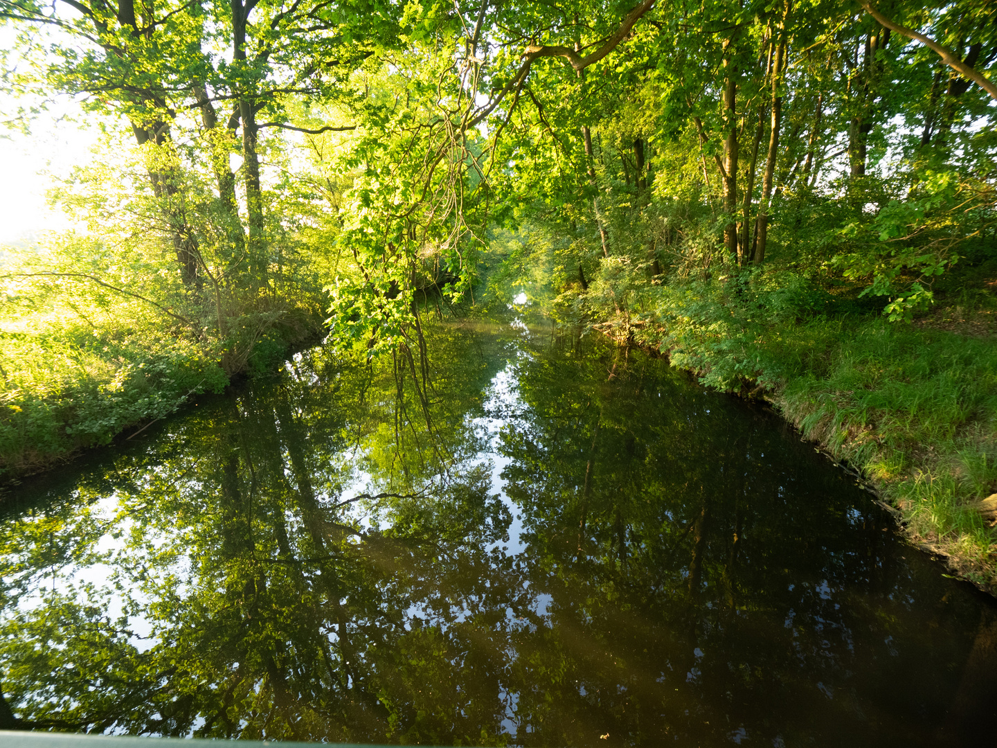 Dienstag ist Spiegeltag 09.07.2019