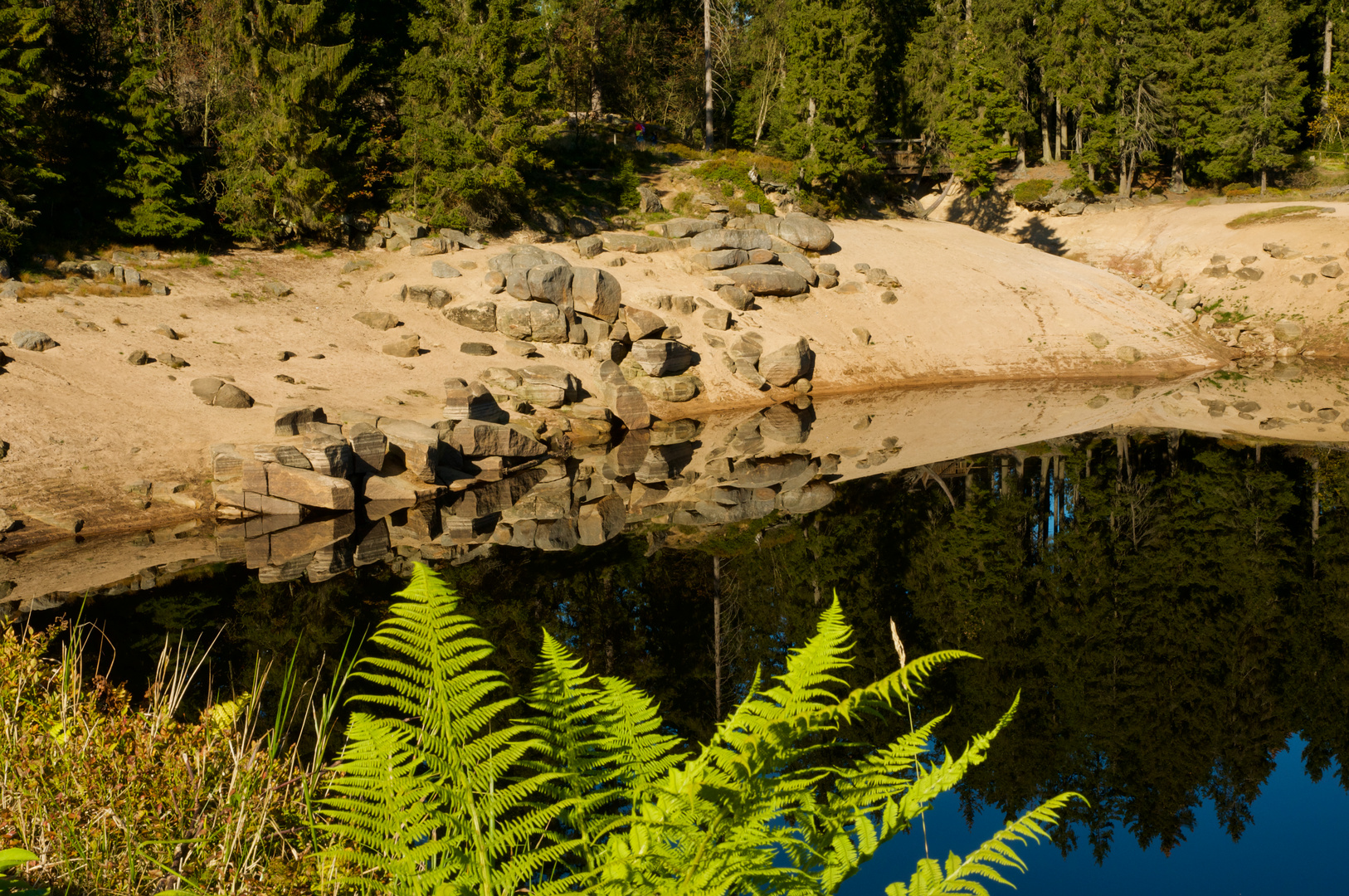 Dienstag ist Spiegeltag 09.11.2021  Oderteich im Harz 