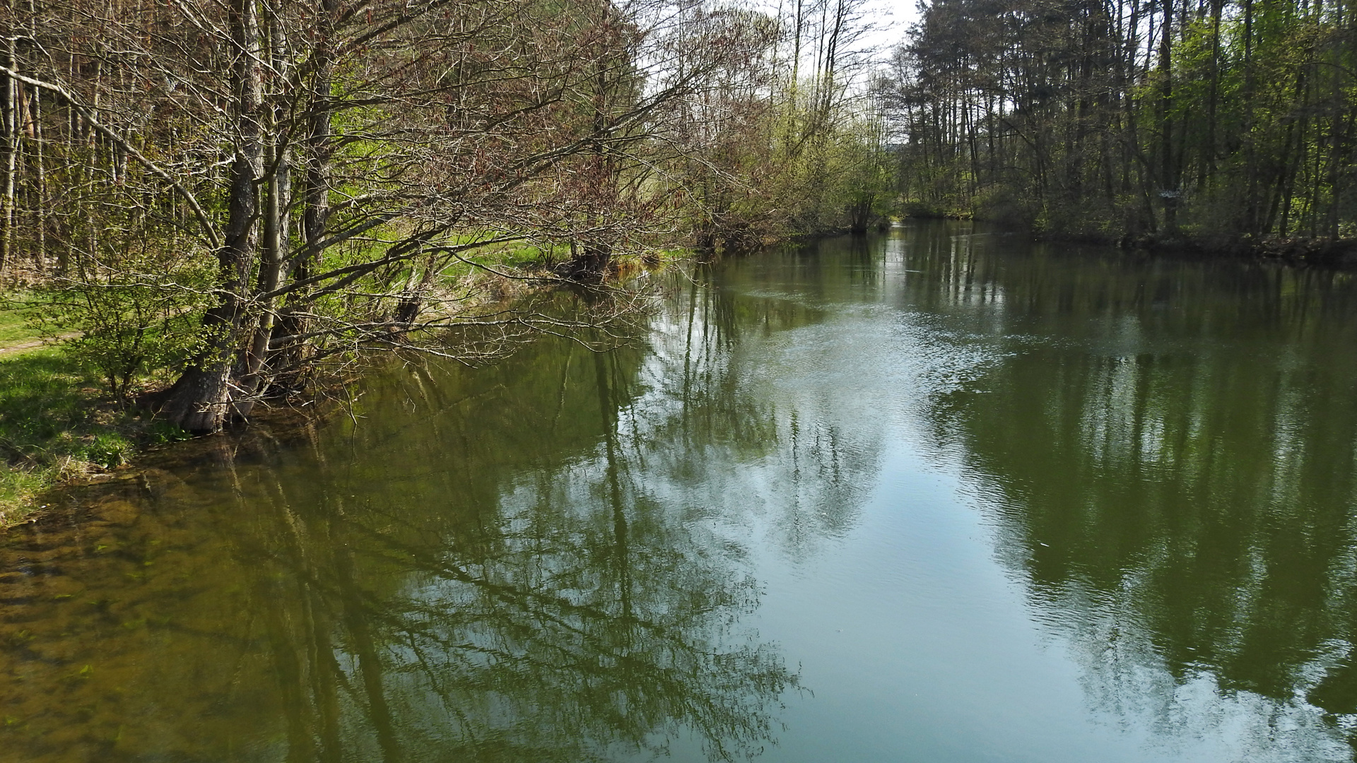 Dienstag ist Spiegeltag  