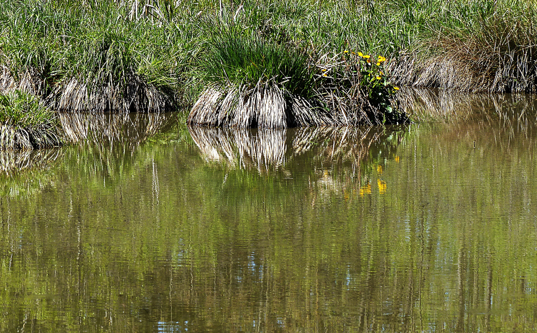 Dienstag ist Spiegeltag