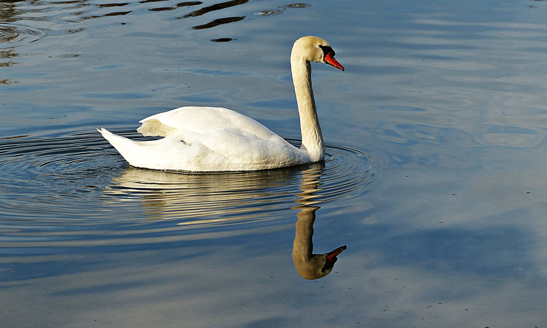 Dienstag ist Spiegeltag