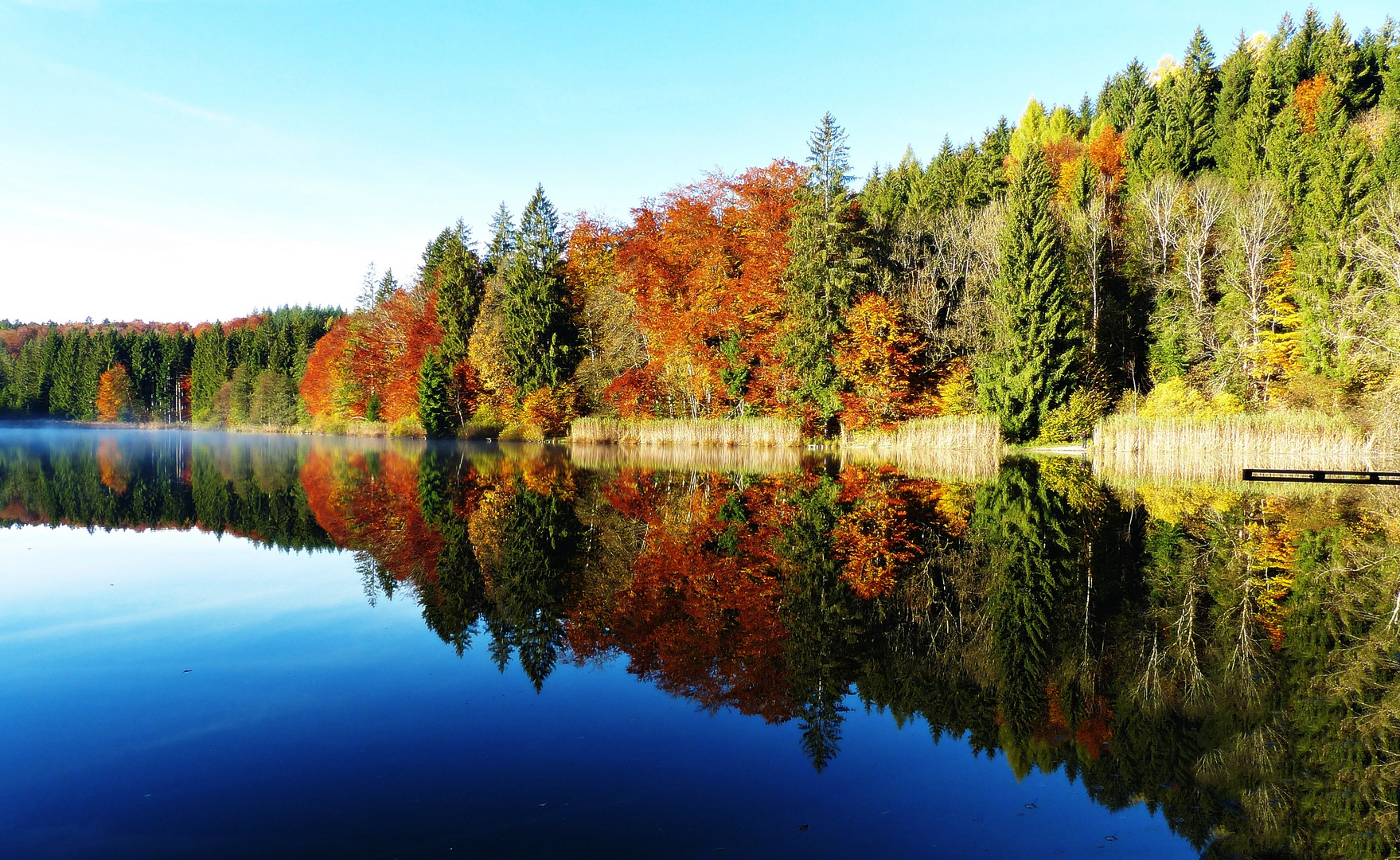 Dienstag ist Spiegeltag 1