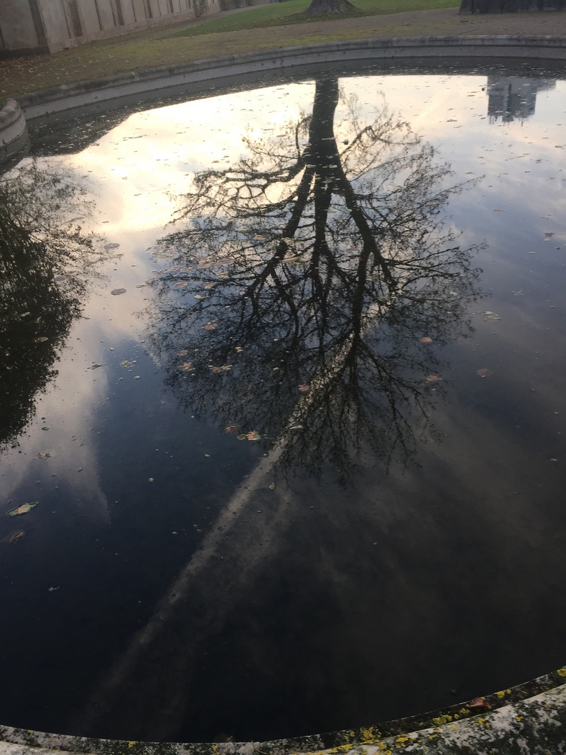 Dienstag ist Spiegeltag 10.11.2020 Teich im Park von Kloster Haydau 