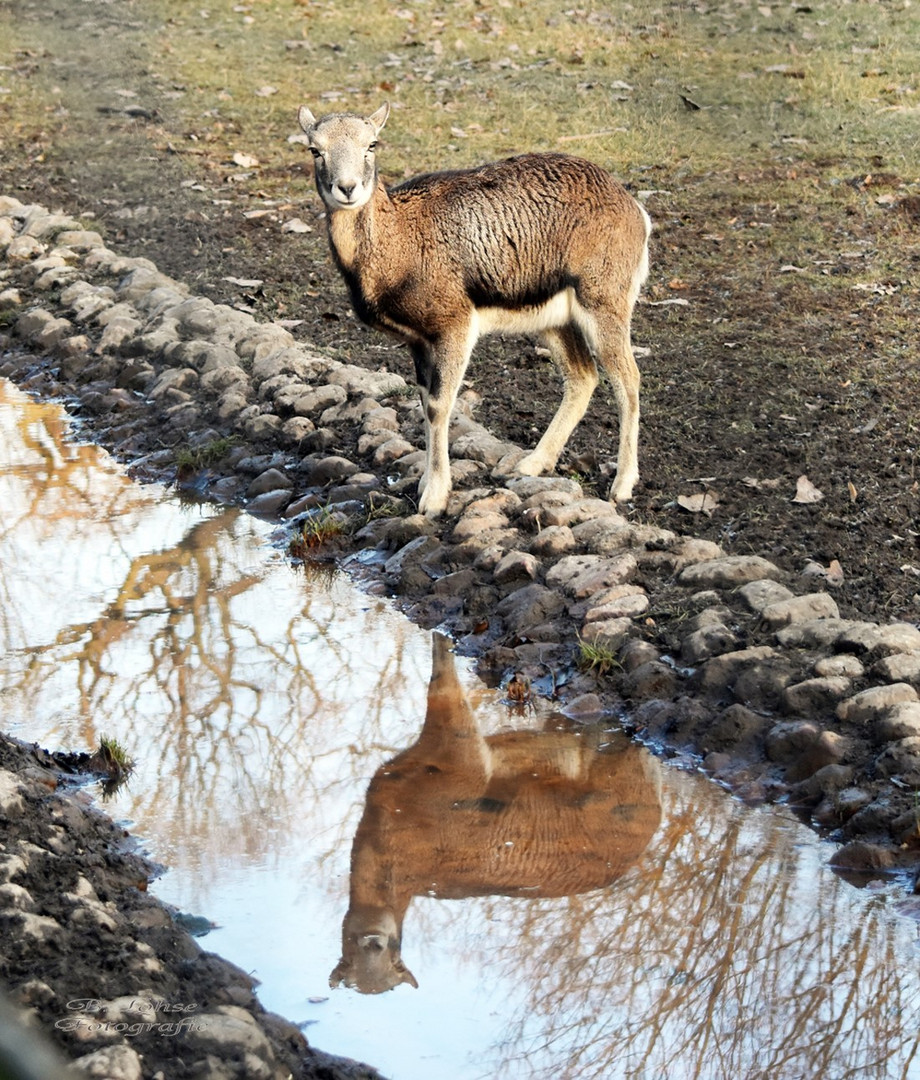 Dienstag ist Spiegeltag - 10.12.2019