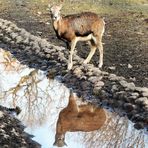 Dienstag ist Spiegeltag - 10.12.2019