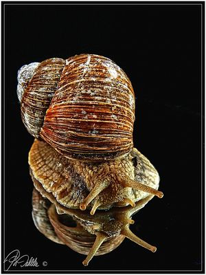 dienstag ist Spiegeltag 11.12.2018 "Spieglein, Spieglein"