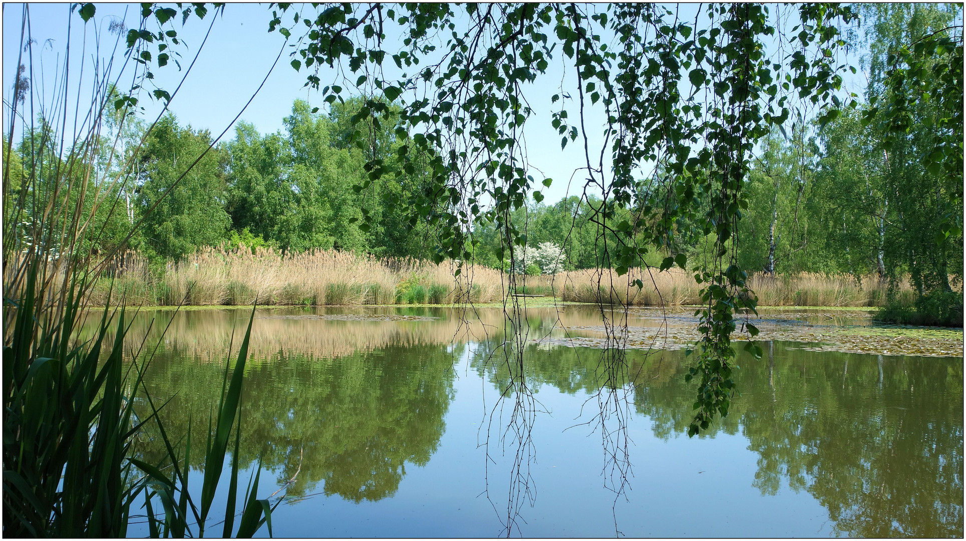 Dienstag ist Spiegeltag 12.06.23