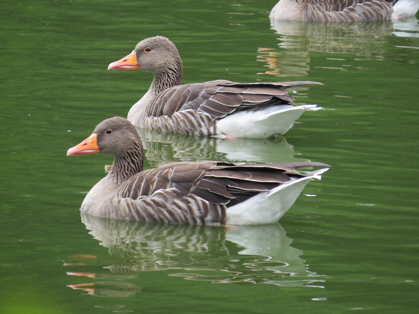 Dienstag ist Spiegeltag