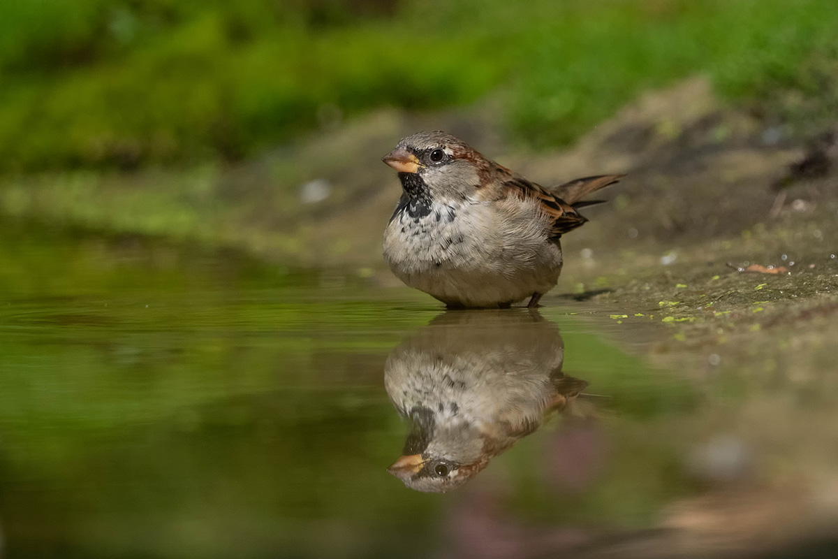 Dienstag ist Spiegeltag