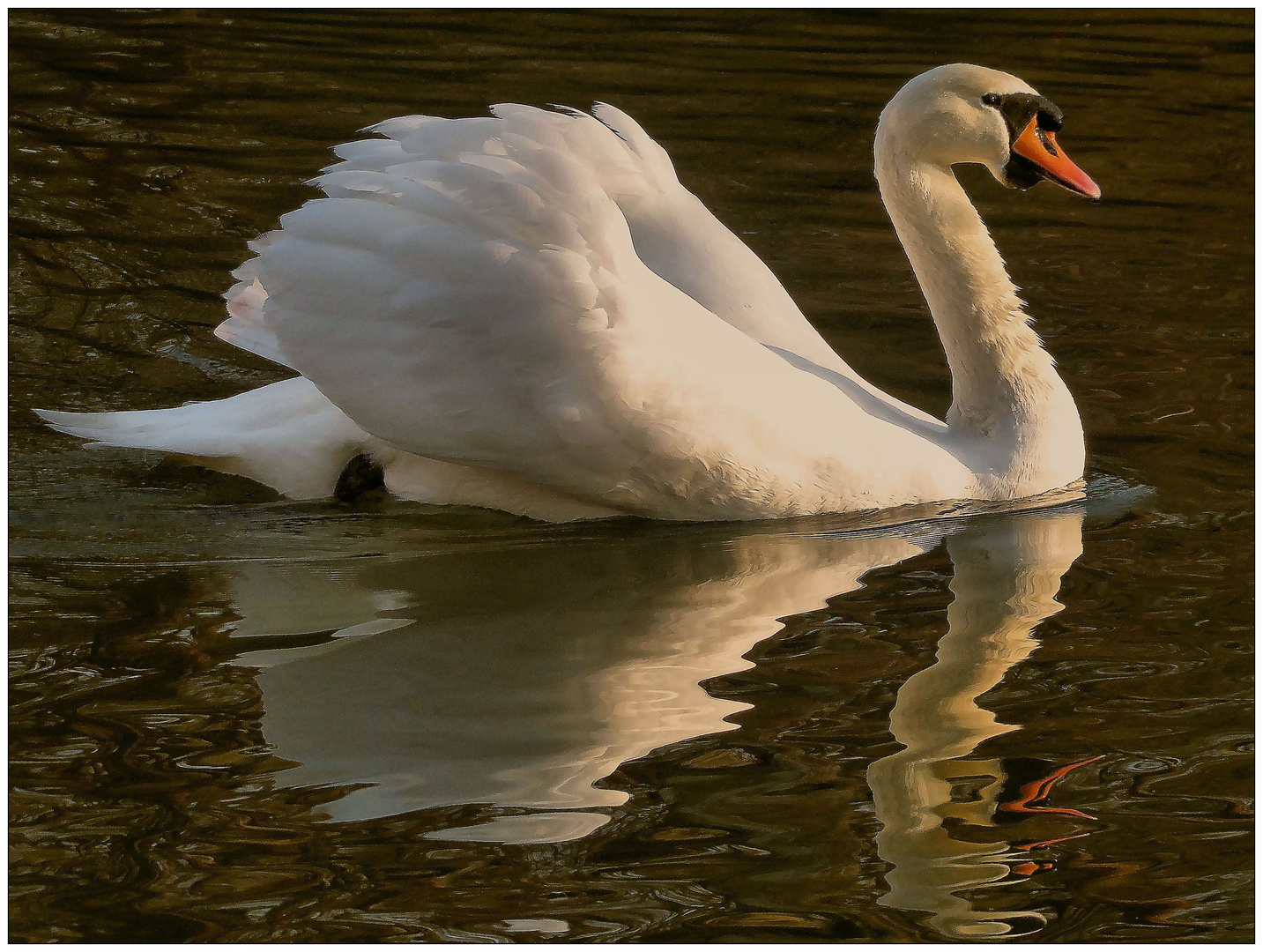 Dienstag ist Spiegeltag 15.03.22