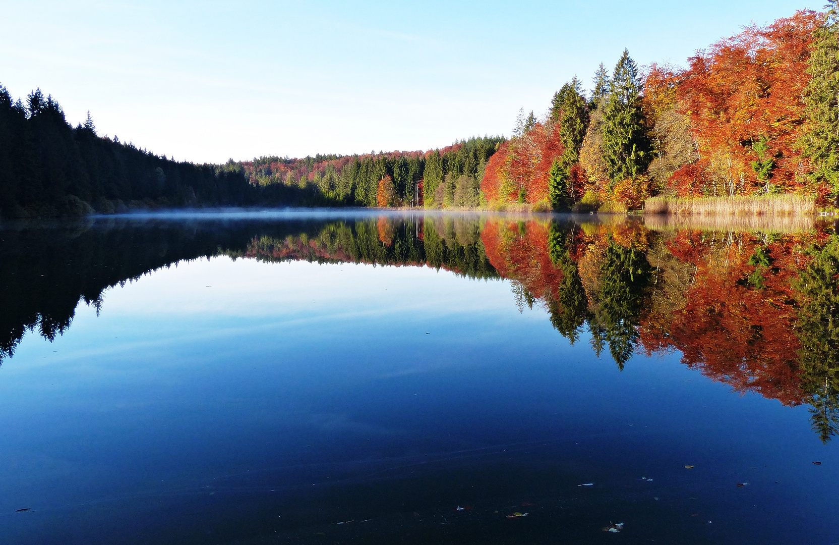 Dienstag ist Spiegeltag