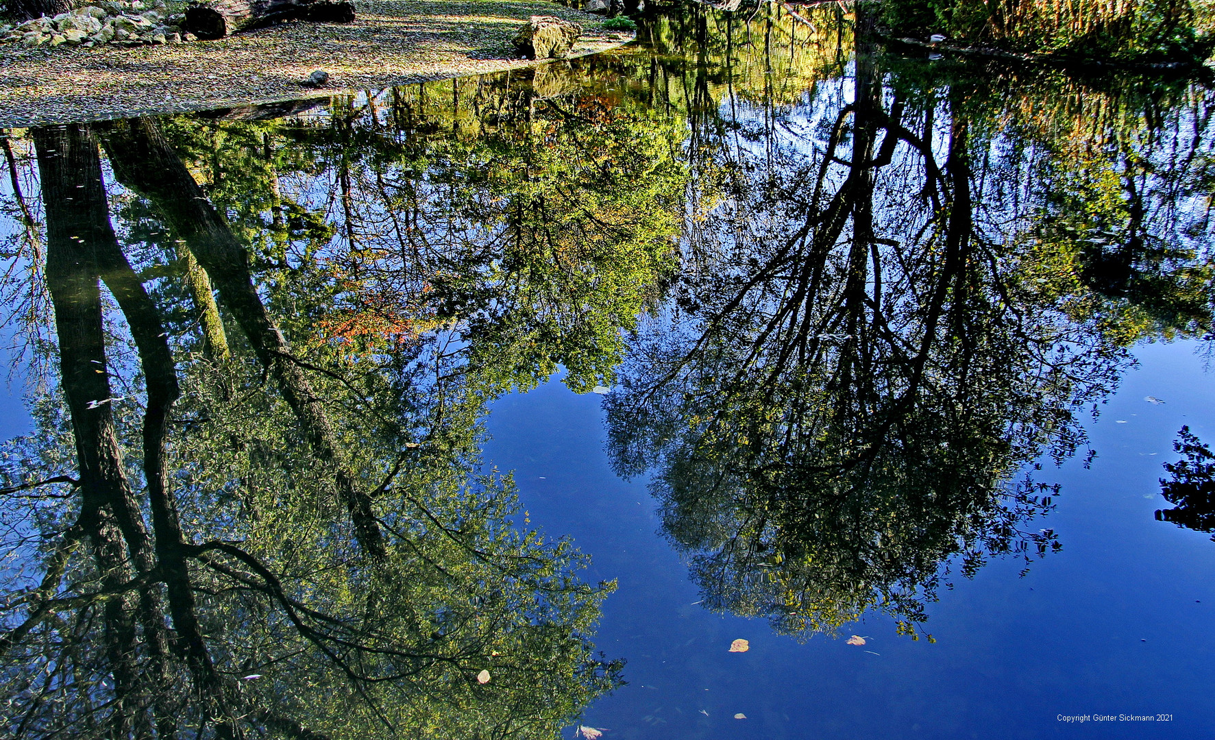 Dienstag ist Spiegeltag.