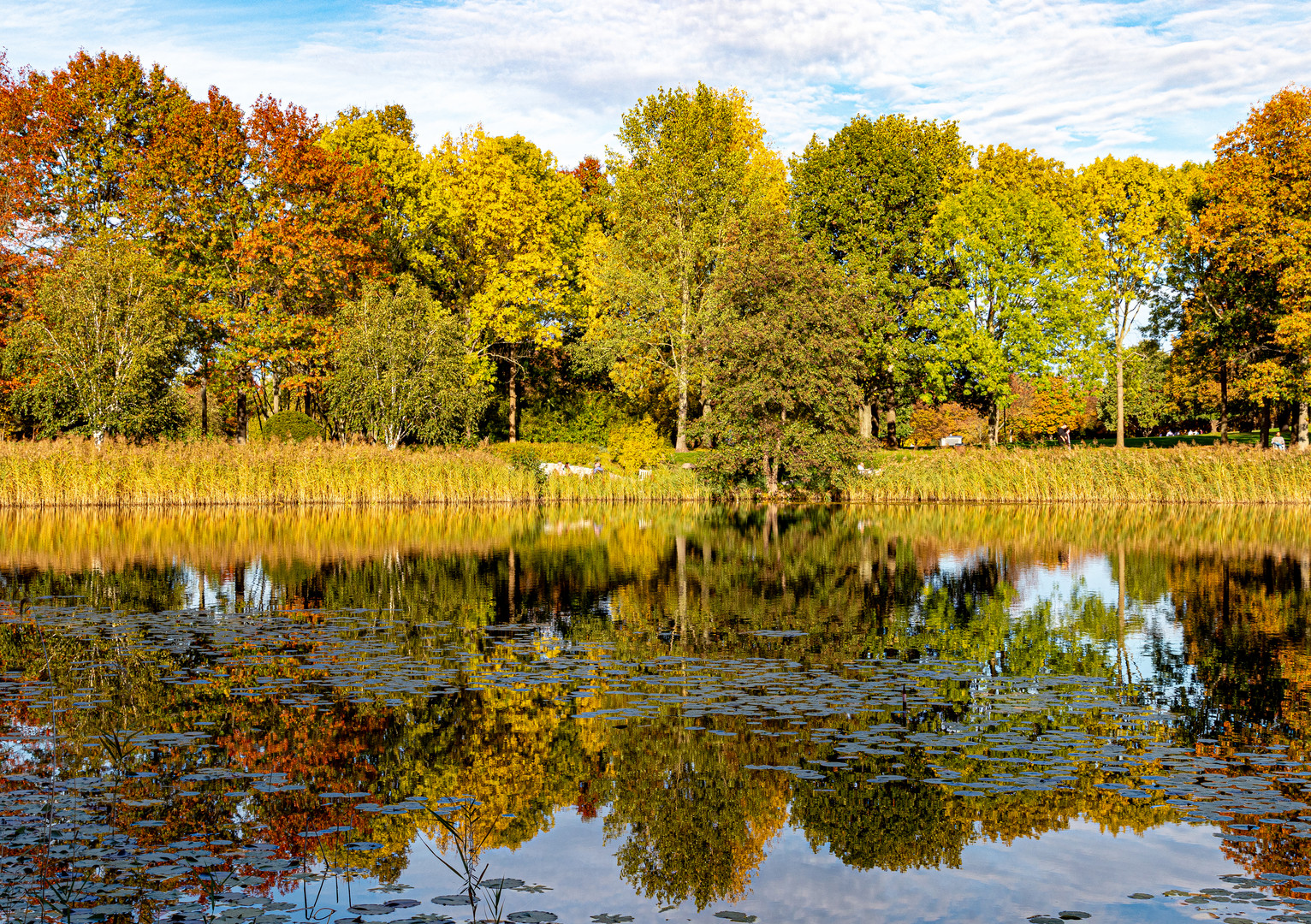 Dienstag ist Spiegeltag