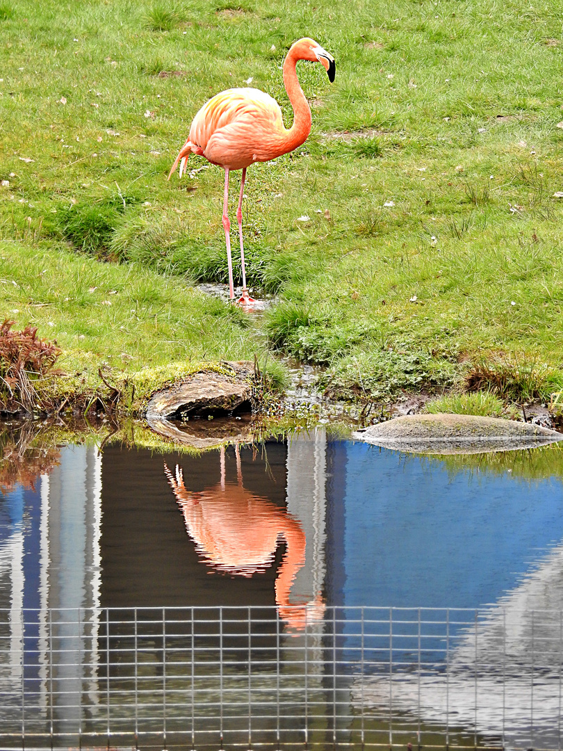 Dienstag ist Spiegeltag