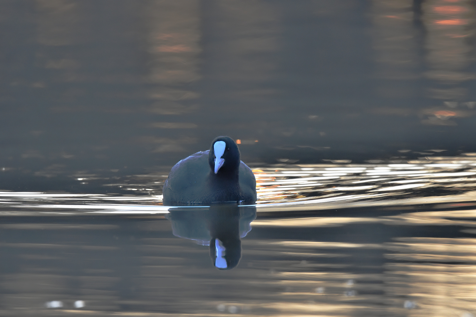 Dienstag ist Spiegeltag