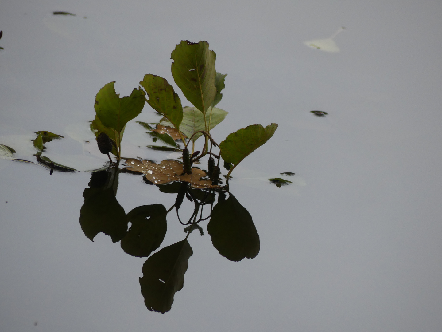 Dienstag ist Spiegeltag