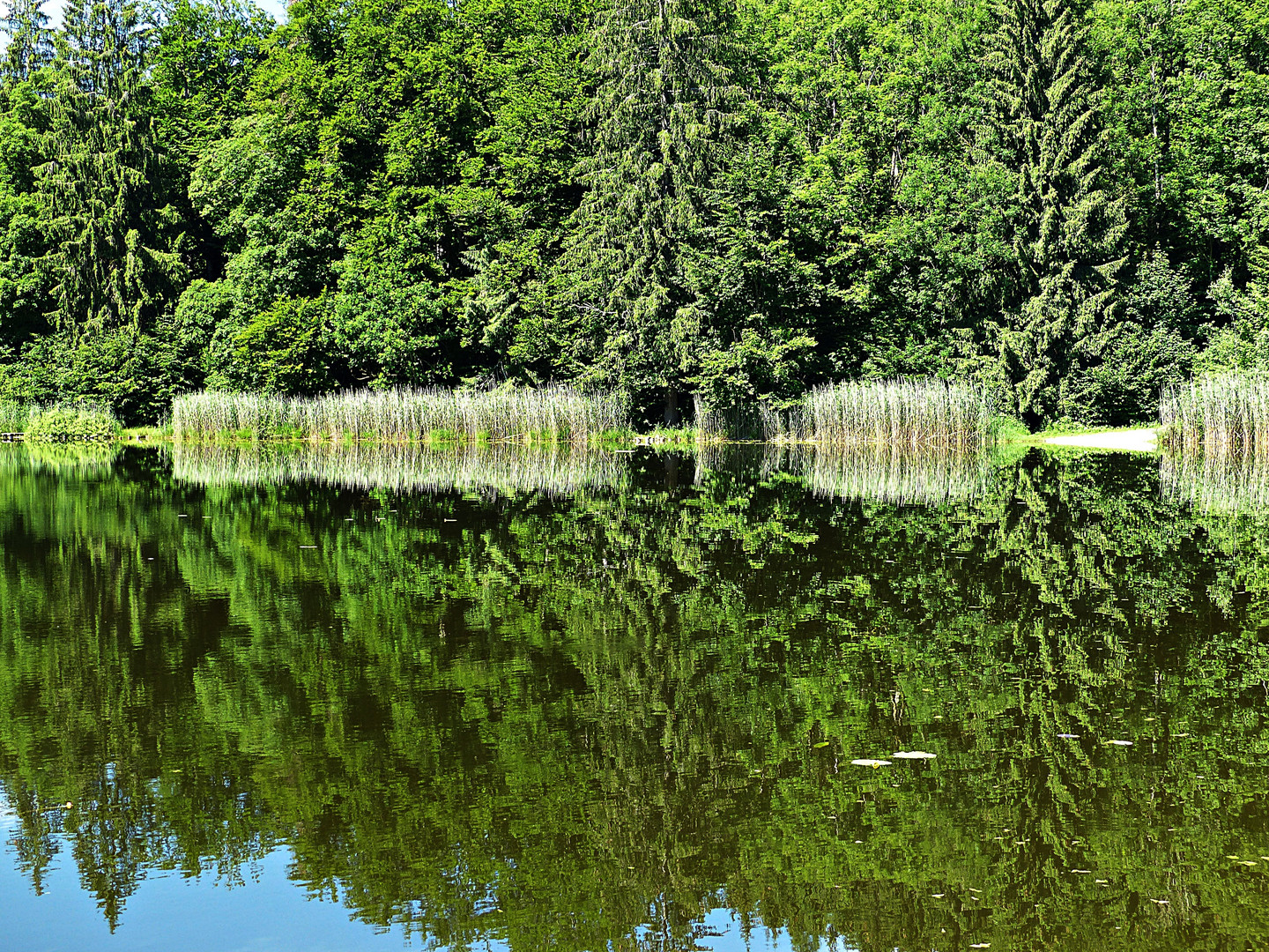 Dienstag ist Spiegeltag