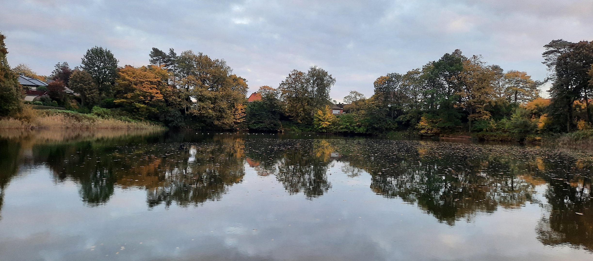 Dienstag ist Spiegeltag ... 