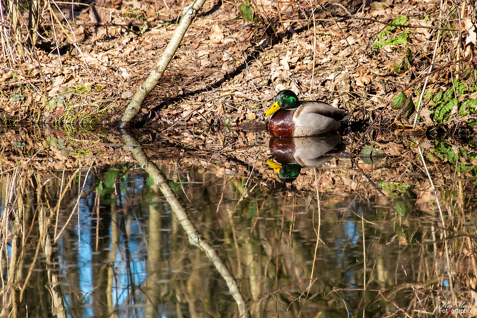 Dienstag ist Spiegeltag