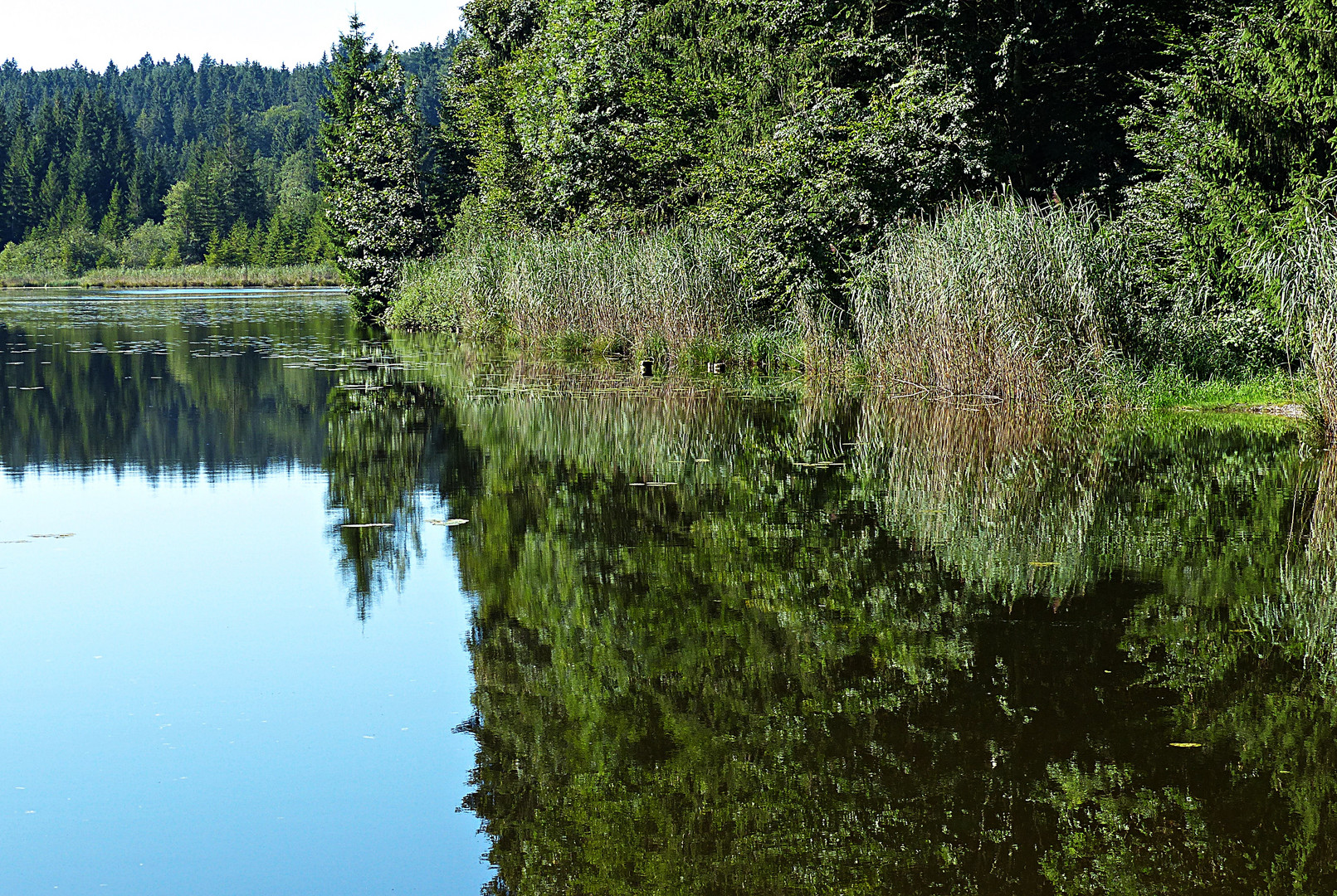 Dienstag ist Spiegeltag