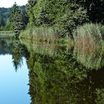 Dienstag ist Spiegeltag