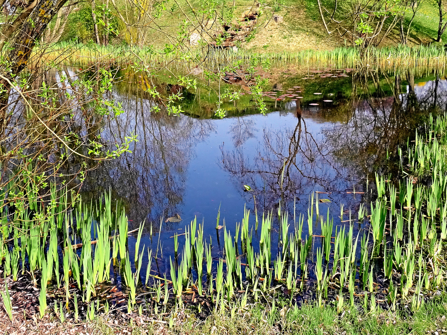 Dienstag ist Spiegeltag