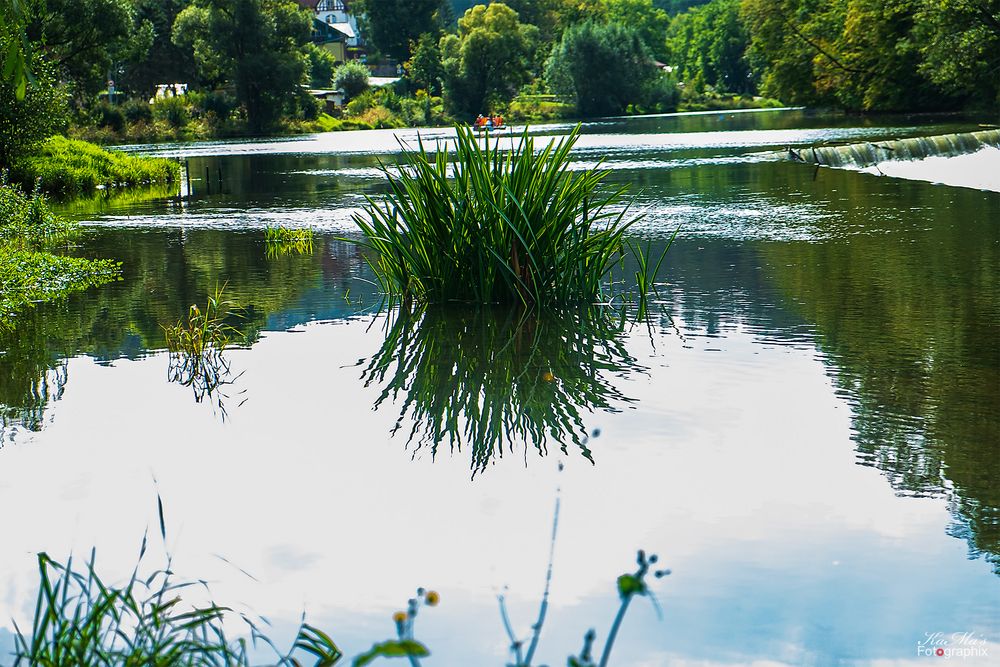 Dienstag ist Spiegeltag