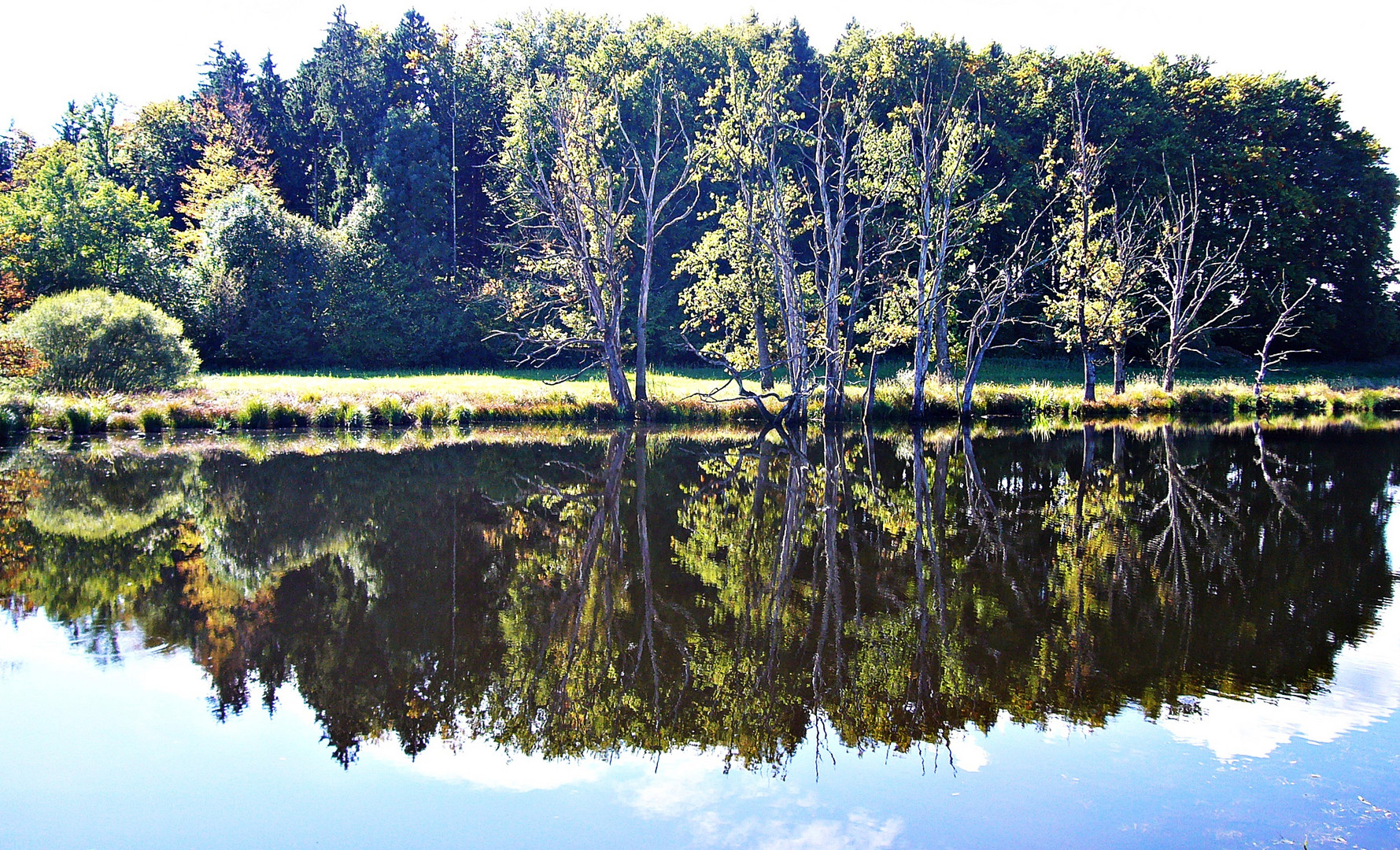 Dienstag ist Spiegeltag