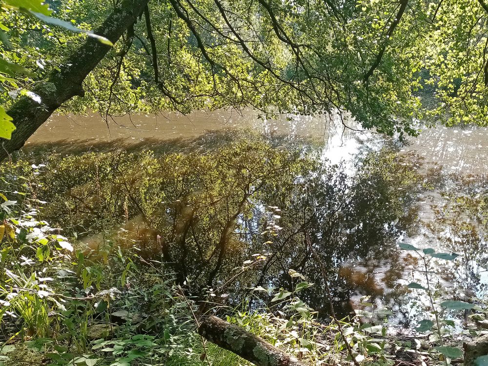 Dienstag ist Spiegeltag.