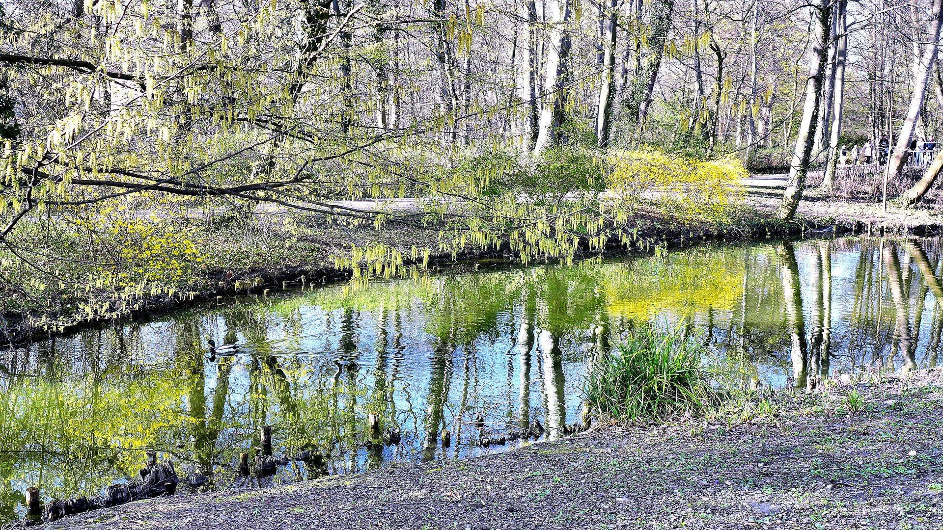 Dienstag ist Spiegeltag