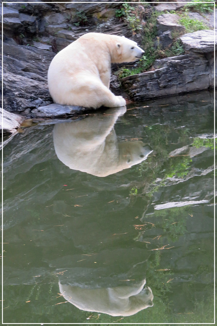 Dienstag ist Spiegeltag