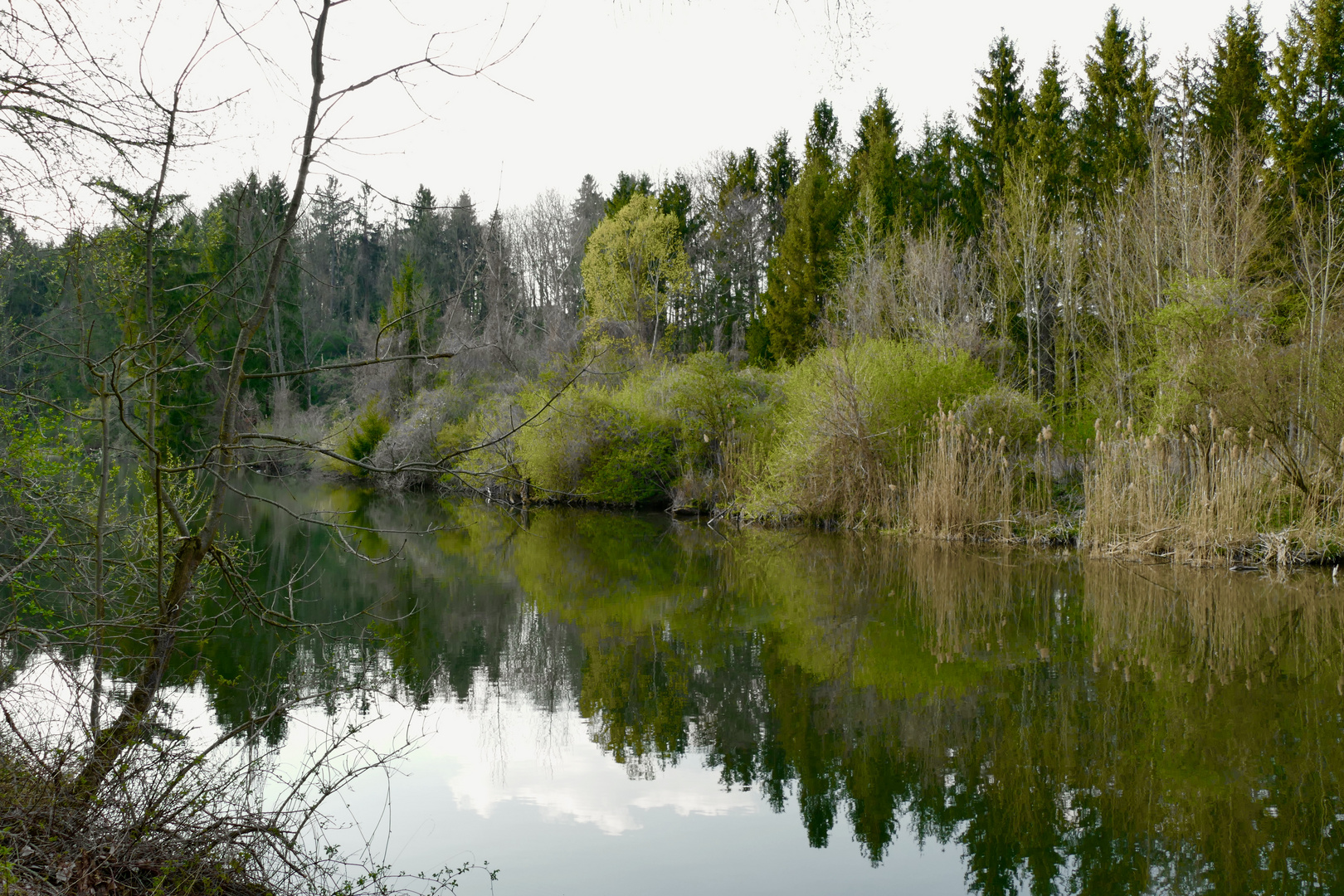 Dienstag ist Spiegeltag (5)