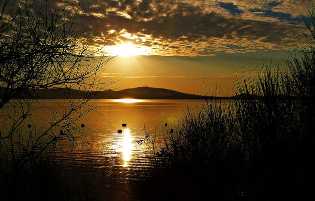 Dienstag ist Spiegeltag