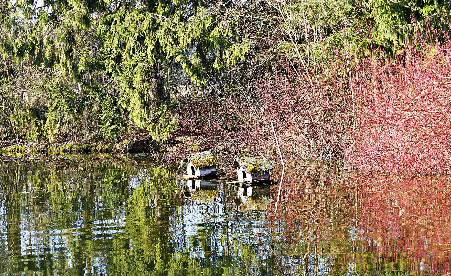 Dienstag ist Spiegeltag