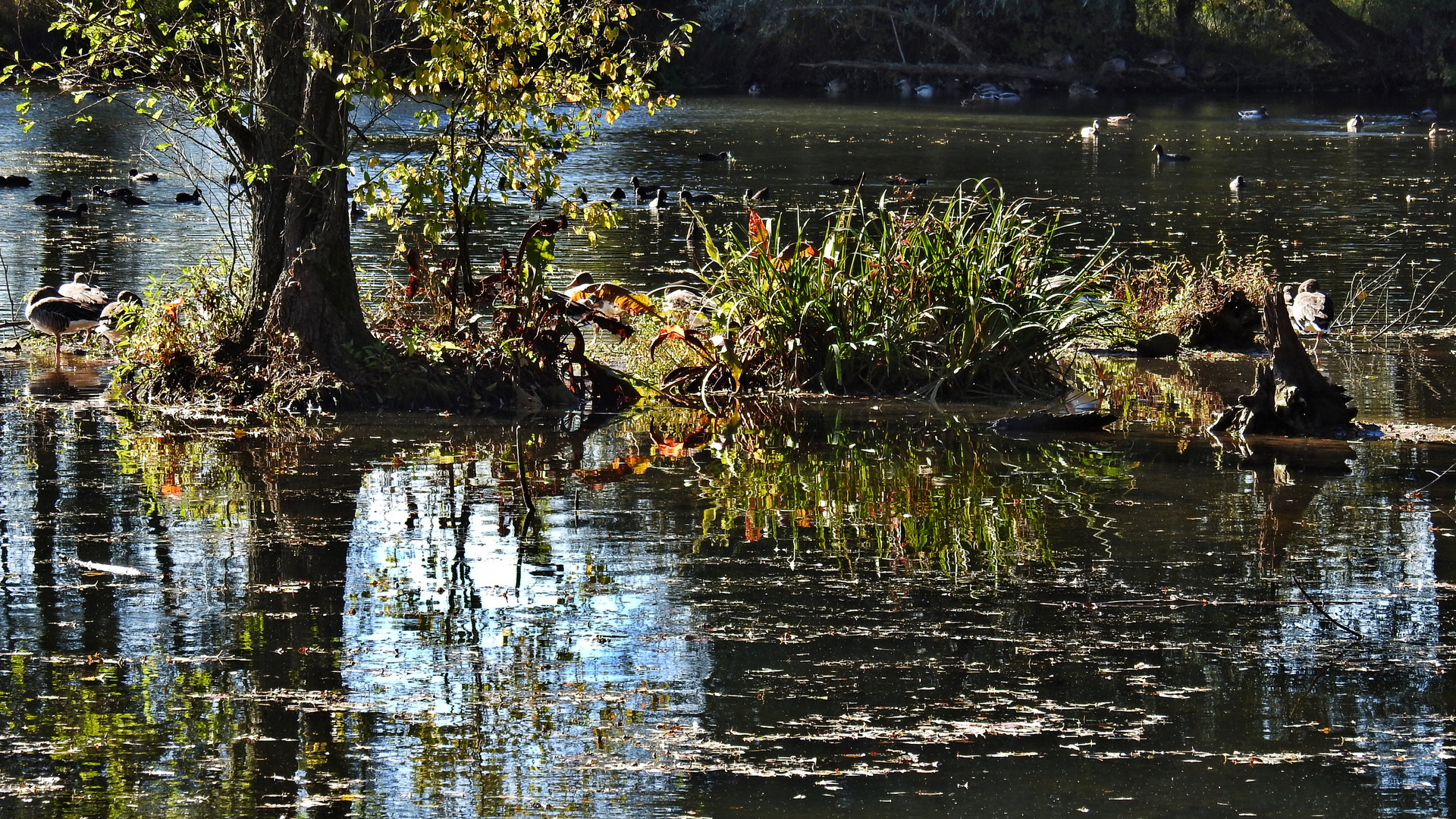 Dienstag ist Spiegeltag 