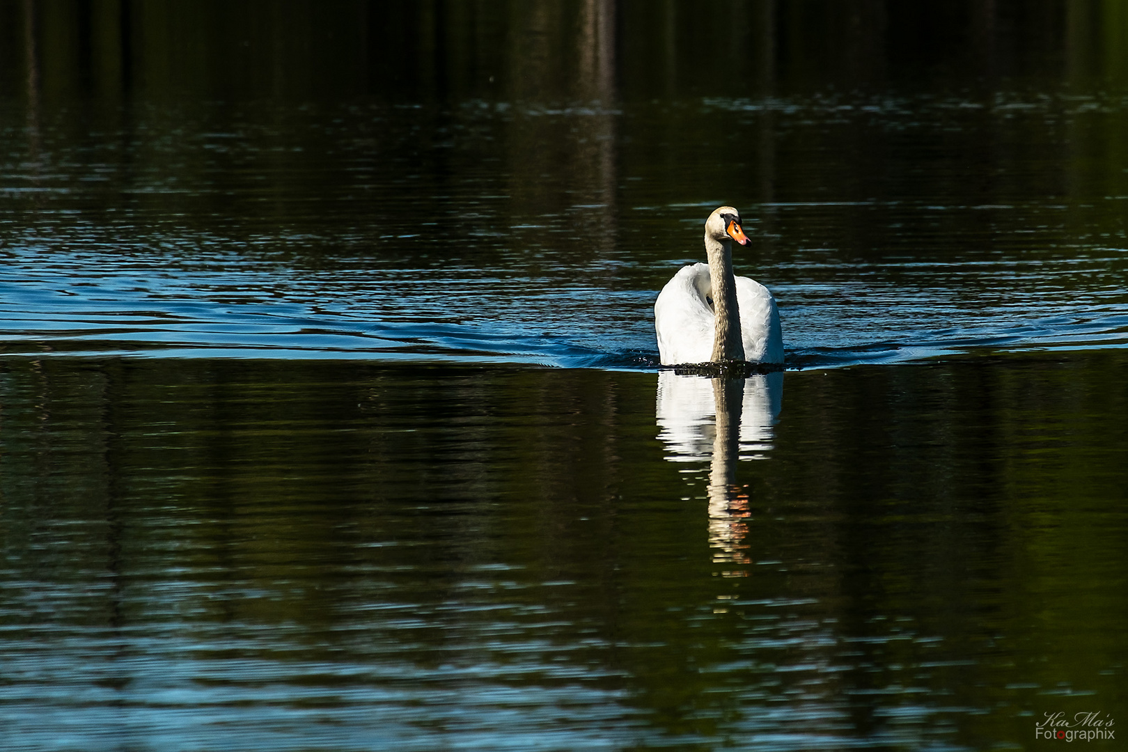 Dienstag ist Spiegeltag