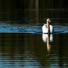 Dienstag ist Spiegeltag