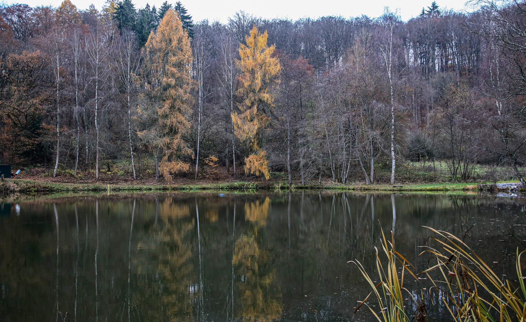 Dienstag ist Spiegeltag....