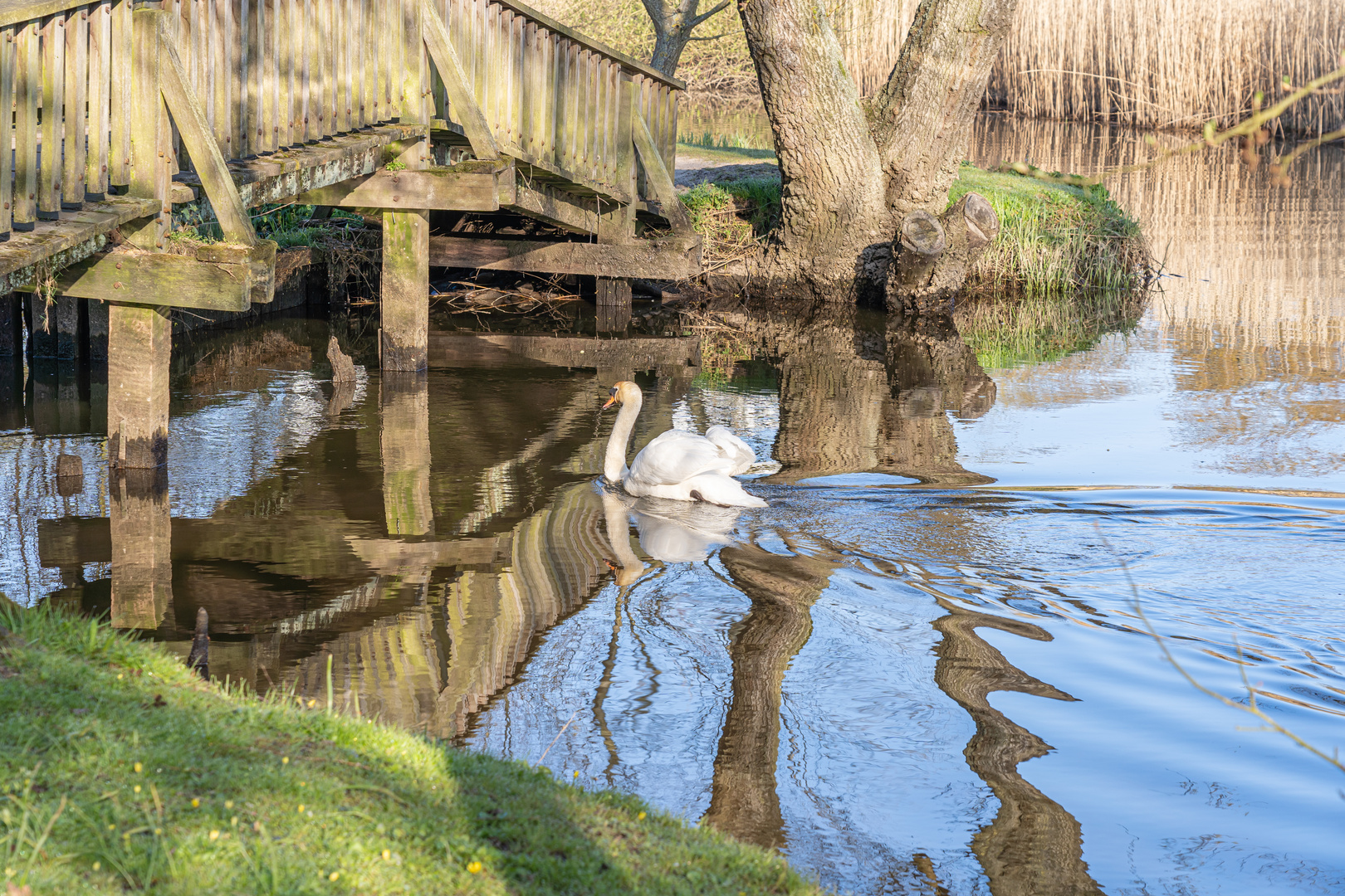 Dienstag ist Spiegeltag