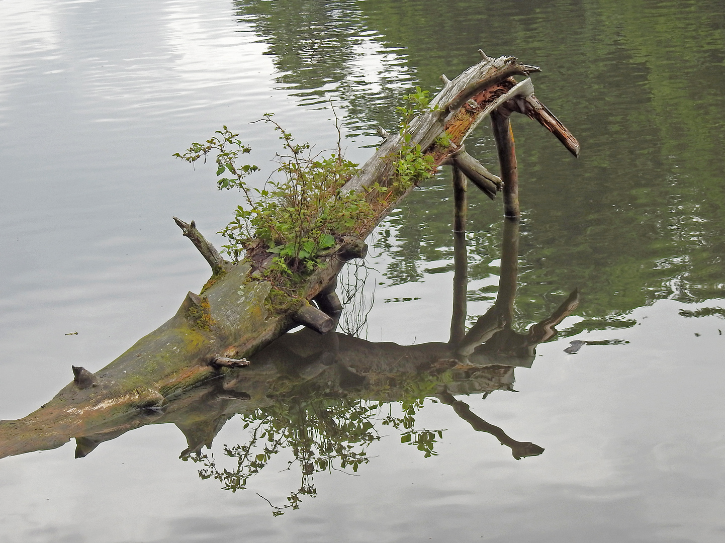 Dienstag ist Spiegeltag