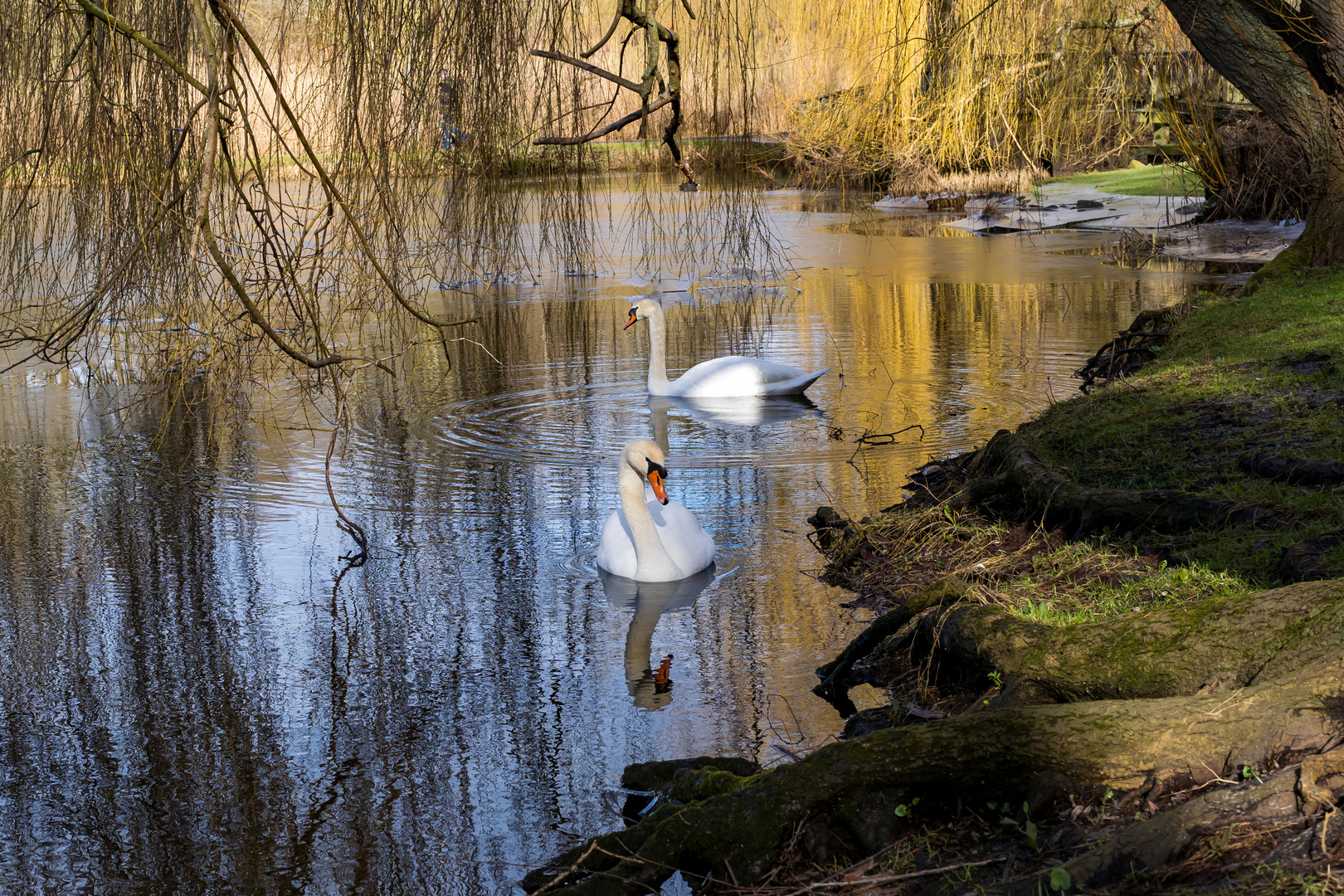 Dienstag ist Spiegeltag