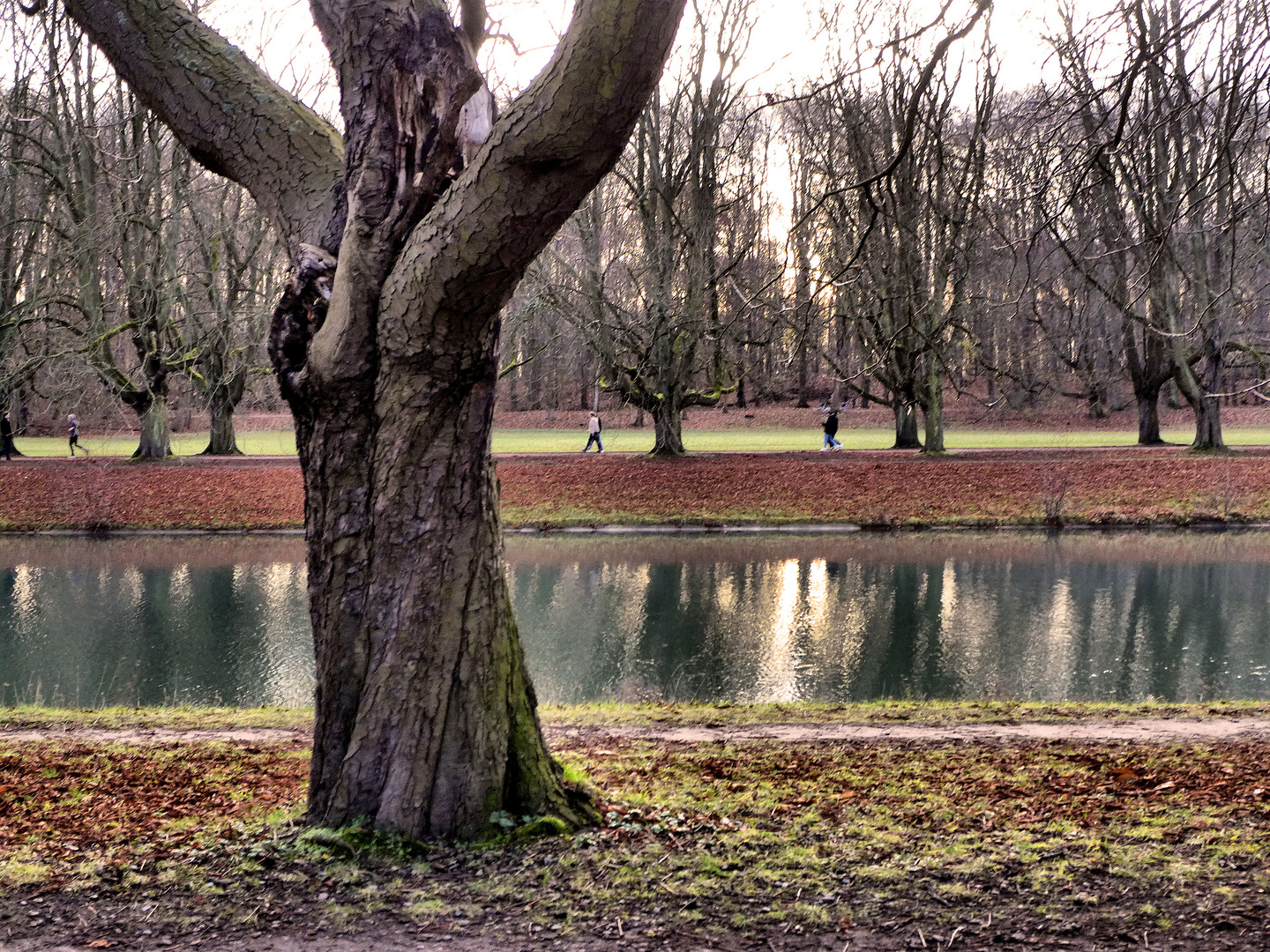 Dienstag ist Spiegeltag