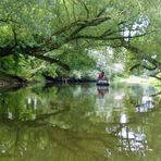 Dienstag ist Spiegeltag