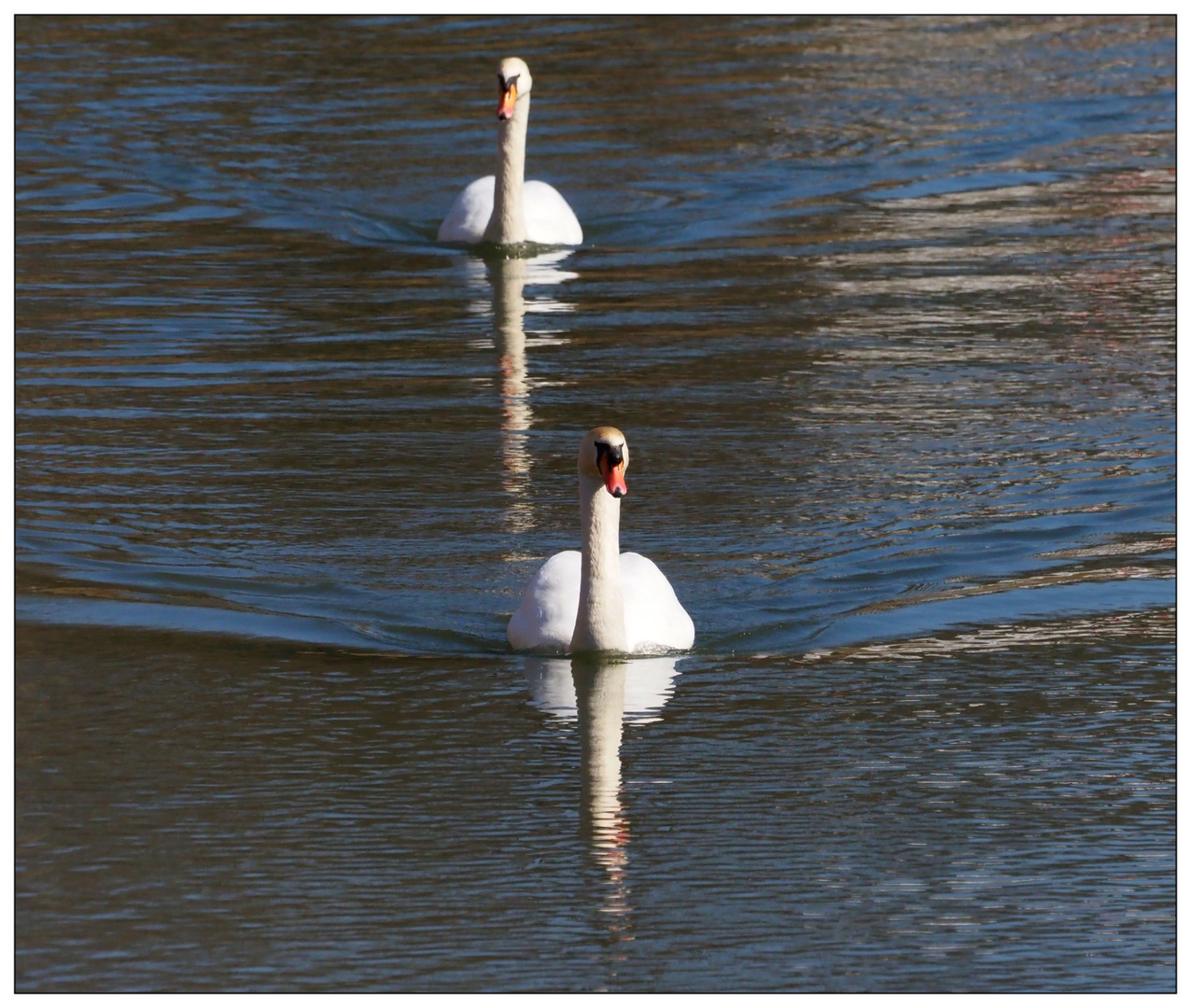 Dienstag ist Spiegeltag