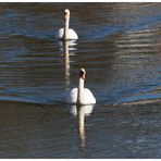 Dienstag ist Spiegeltag