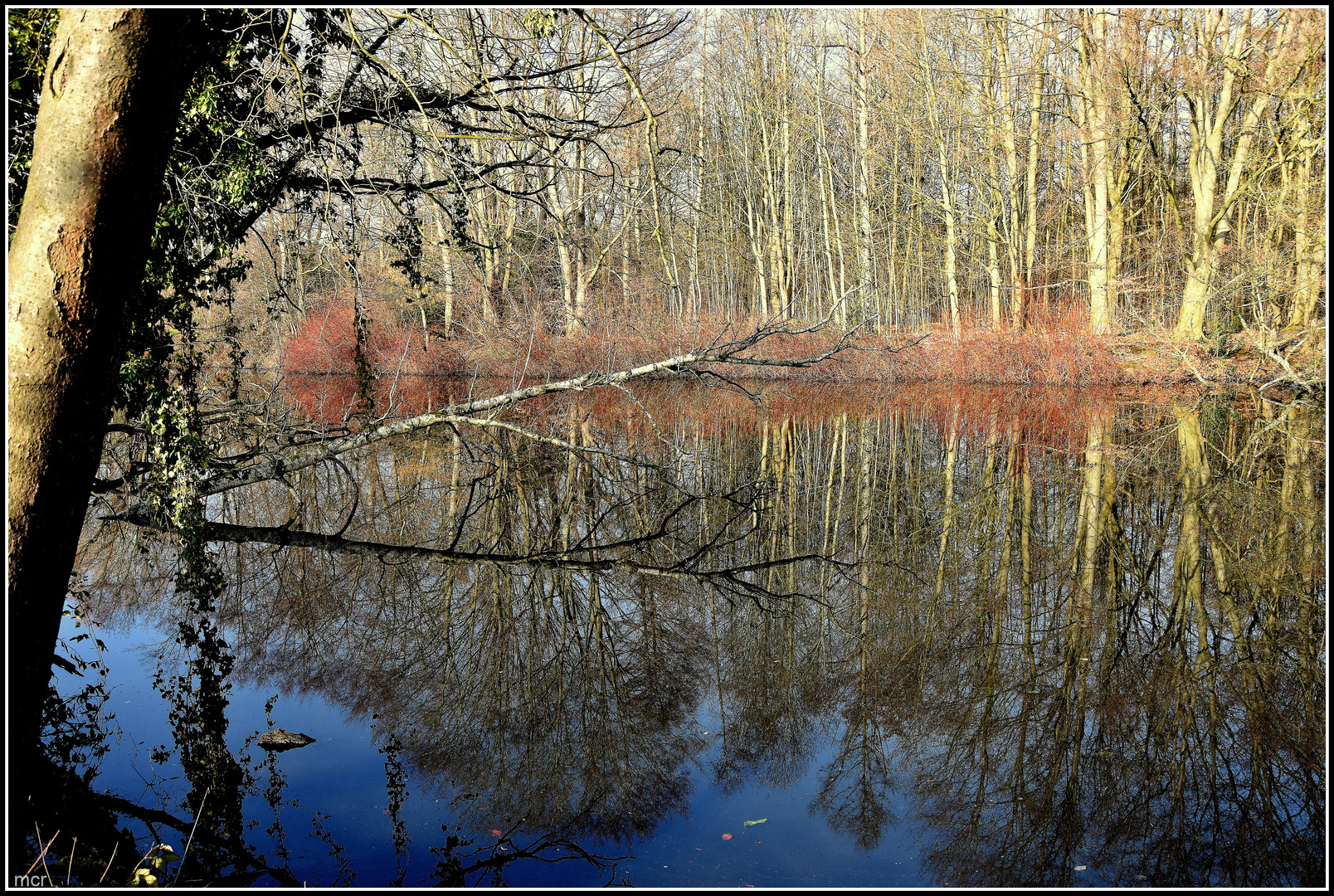 Dienstag ist Spiegeltag