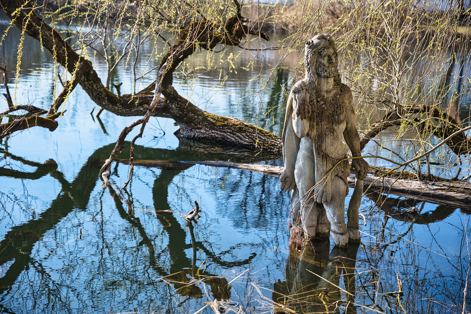 Dienstag ist Spiegeltag