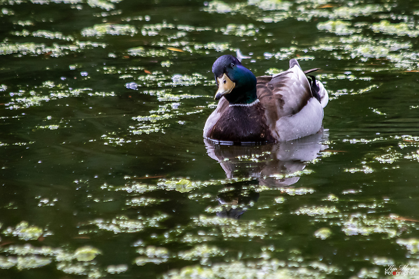 Dienstag ist Spiegeltag